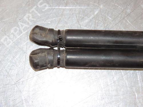 Tailgate lift support OPEL CORSA D (S07) 1.3 CDTI (L08, L68) | BP19025129C138 