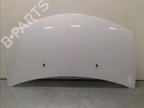 Used Hood RENAULT CLIO III (BR0/1, CR0/1) 1.5 dCi (C/BR0G, C/BR1G) (68 hp) 15813169
