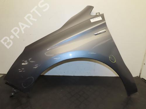 Left front fenders CITROËN C4 II (NC_) 1.6 HDi 110 | BP29516761C41 