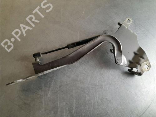 Hinge/Door check strap RENAULT SCÉNIC III (JZ0/1_) 1.5 dCi (JZ02, JZ0R) | BP14857344C146 