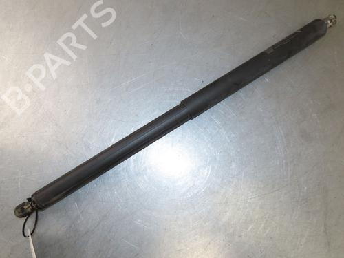 Tailgate lift support TESLA MODEL Y (5YJY) EV All-wheel Drive | BP26511657C138 