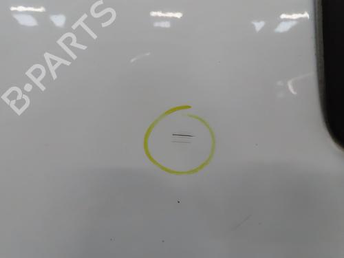 Left front door PEUGEOT BIPPER (AA_) 1.3 HDi 75 | BP31935919C2