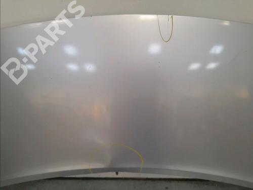 Hood RENAULT SCÉNIC II (JM0/1_) 1.5 dCi (JM1E, JM16) | BP11131239C1 