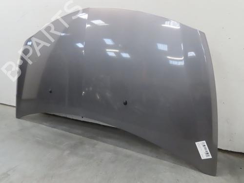 Hood RENAULT CLIO III Grandtour (KR0/1_) 1.5 dCi | BP22366905C1