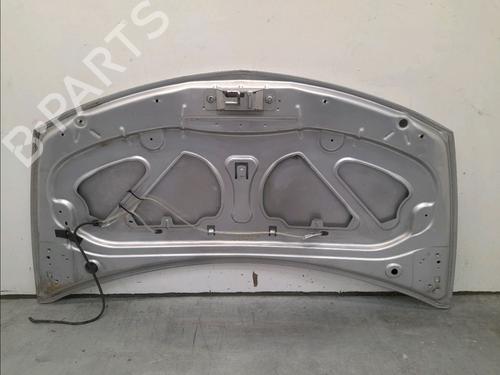 Hood RENAULT CLIO III (BR0/1, CR0/1) 1.4 16V | BP15273332C1 