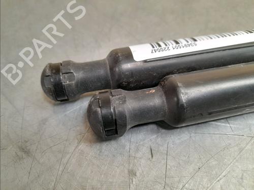 Tailgate lift support RENAULT LAGUNA II Grandtour (KG0/1_) 1.9 dCi (KG0G) | BP14945984C138