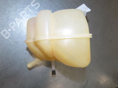 Used Expansion tank FORD RANGER (TKE) 2.0 EcoBlue 4x4 (213 hp) 28828525
