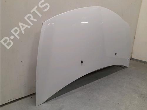 Hood RENAULT CLIO III (BR0/1, CR0/1) 1.5 dCi (C/BR0G, C/BR1G) | BP15813169C1 