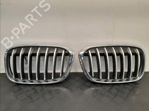 Grille BMW X1 (F48) xDrive 20 d | BP27665766C40 