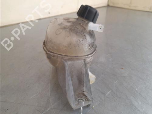 Used Expansion tank RENAULT MASTER III Platform/Chassis (EV, HV, UV) 2.3 dCi 135 FWD (EV0N, HV0N, UV0N, EV08, HV08, UV08) (136 hp) 11952339