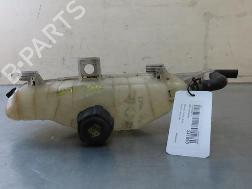 Expansion tank RENAULT CLIO III (BR0/1, CR0/1) 1.5 dCi (BR17, CR17) | BP25610319C120 