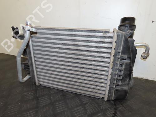 Intercooler RENAULT CLIO V (B7_) 1.0 TCe 100 (B7MT) | BP27487820M30 - Image 6
