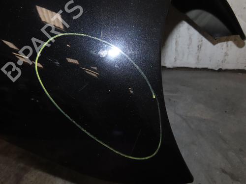 Right front fenders PORSCHE CAYENNE (9PA) 3.2 | BP29516752C42 