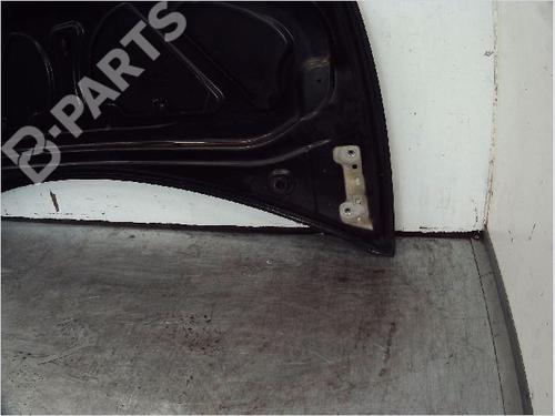 Hood RENAULT CLIO III (BR0/1, CR0/1) 1.4 16V | BP11098421C1 