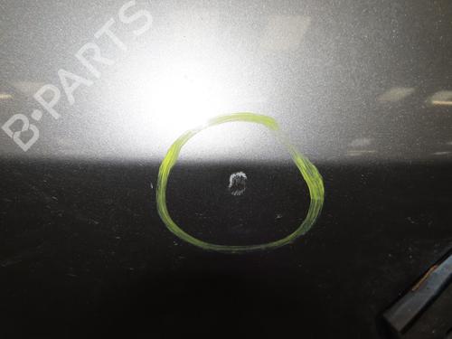 Tailgate RENAULT CLIO III (BR0/1, CR0/1) 1.5 dCi (C/BR0G, C/BR1G) | BP30366575C6