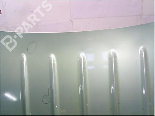 Tailgate PEUGEOT 206 CC (2D) 1.6 16V (2DNFUF, 2DNFUR) | BP9406191C6 