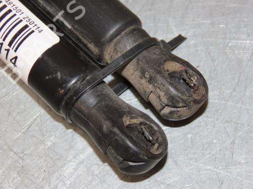 Tailgate lift support RENAULT CLIO V (B7_) 1.6 E-TECH 140 (B7MU) | BP29294040C138 