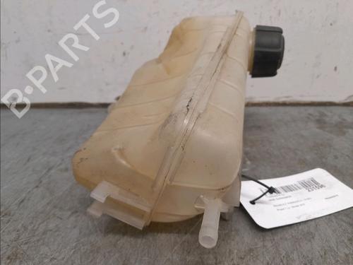 Expansion tank RENAULT KANGOO Express (FW0/1_) 1.5 dCi 70 (FW0A, KW0V) | BP16276614C120 