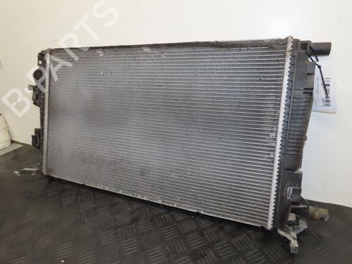 Køler Køler RENAULT MEGANE III Coupe (DZ0/1_) 2.0 TCe (DZ1N) (250 hp) 36486701 36486701