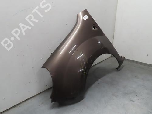 Left front fenders RENAULT KANGOO / GRAND KANGOO II (KW0/1_) 1.5 dCi 110 (KW0C, KW0H) | BP22366852C41 