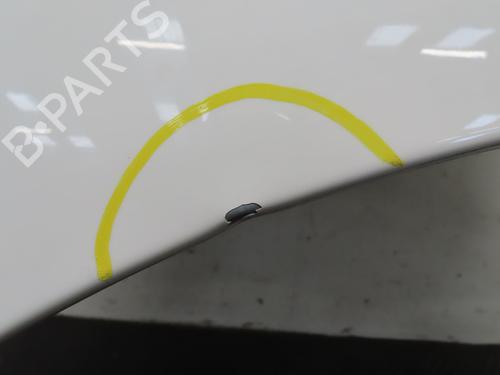 Left front fenders PEUGEOT 207 CC (WD_) 1.6 HDi | BP29759561C41 