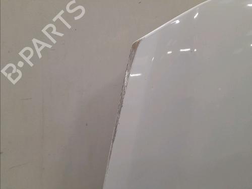 Hood RENAULT CLIO III (BR0/1, CR0/1) 1.5 dCi (C/BR0G, C/BR1G) | BP15813169C1 