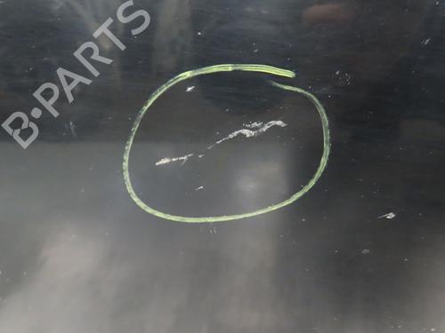 Left front door MINI MINI COUNTRYMAN (R60) Cooper | BP31843189C2 