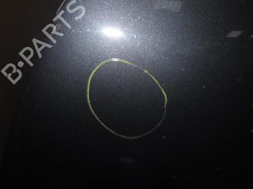 Hood RENAULT MEGANE III Coupe (DZ0/1_) 1.6 16V (DZ0U, DZ1B, DZ1H) | BP29985807C1