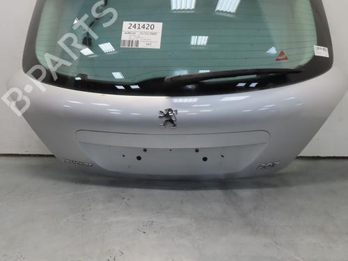 Tailgate PEUGEOT 207 (WA_, WC_) 1.6 HDi | BP19790922C6 