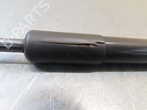 Hood lift support VW GOLF VI (5K1) 1.4 TSI | BP25249664C139 