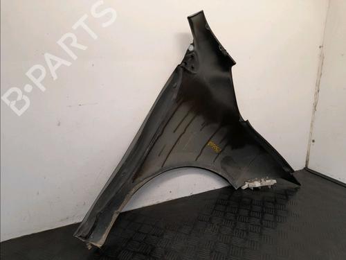 Left front fenders RENAULT MEGANE III Hatchback (BZ0/1_, B3_) 1.6 dCi (BZ00, BZ12, BZ13) | BP28032887C41 