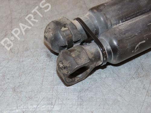 Tailgate lift support RENAULT CLIO IV (BH_) 1.5 dCi 90 | BP29294034C138 