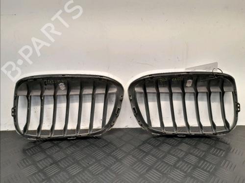 Grille BMW X1 (F48) xDrive 20 d | BP27665766C40 
