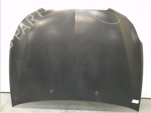 Used Hood LANCIA DELTA III (844_) 1.6 D Multijet (844.AXC11, 844.AXC1A) (120 hp) 15770761