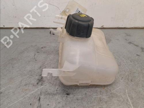 Expansion tank RENAULT MEGANE III Coupe (DZ0/1_) 2.0 TCe (DZ1N) | BP14944624C120