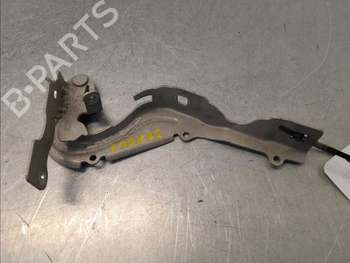 hingedoor-check-strap-citroen-c3-iii-sx-2016-33770266 main image