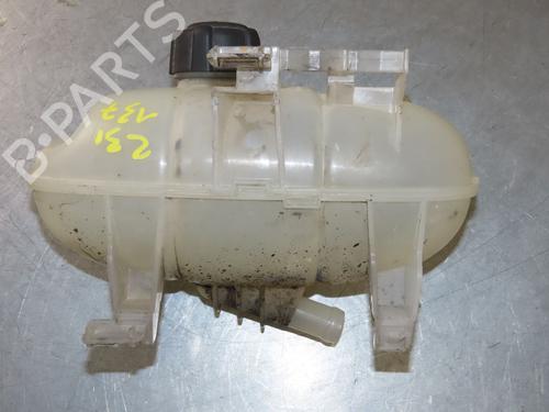 Expansion tank RENAULT TRAFIC III Van (FG_) 1.6 dCi 115 (FGMD) | BP25610318C120 