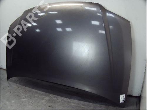 Hood VW TOURAN (1T1, 1T2) 1.9 TDI | BP10419593C1 