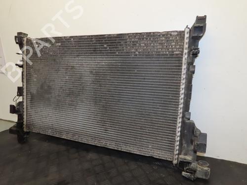 Used Water radiator FORD FIESTA V (JH_, JD_) 1.4 TDCi (68 hp) 25126567