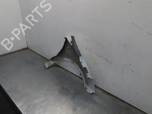 Left front fenders OPEL CORSA D (S07) 1.2 (L08, L68) | BP16972880C41 
