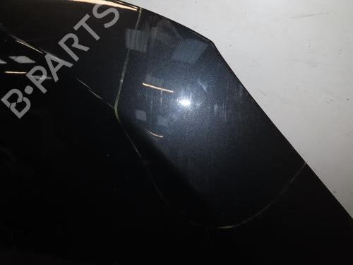 Hood RENAULT MEGANE III Coupe (DZ0/1_) 1.6 16V (DZ0U, DZ1B, DZ1H) | BP29985807C1