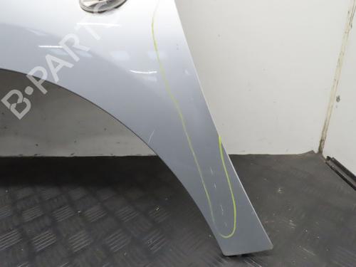 Left front fenders CITROËN BERLINGO MULTISPACE (B9) 1.6 HDi 90 | BP29516759C41 