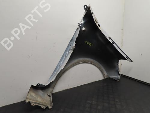 Left front fenders RENAULT CLIO III (BR0/1, CR0/1) 1.5 dCi (C/BR0G, C/BR1G) | BP22366865C41 