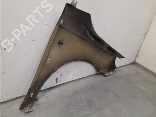 Left front fenders SKODA FABIA II Combi (545) 1.6 TDI | BP22366853C41 