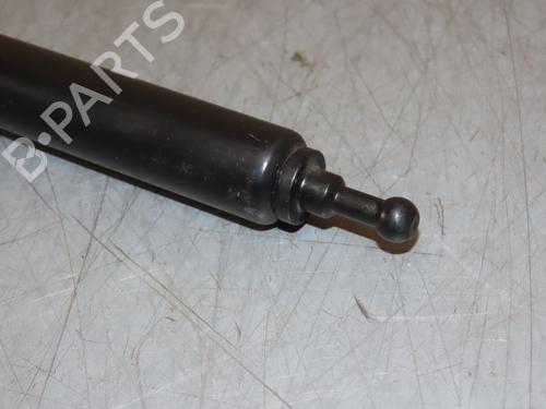Hood lift support RENAULT MEGANE III Hatchback (BZ0/1_, B3_) 1.5 dCi (BZ0C) | BP22366914C139 