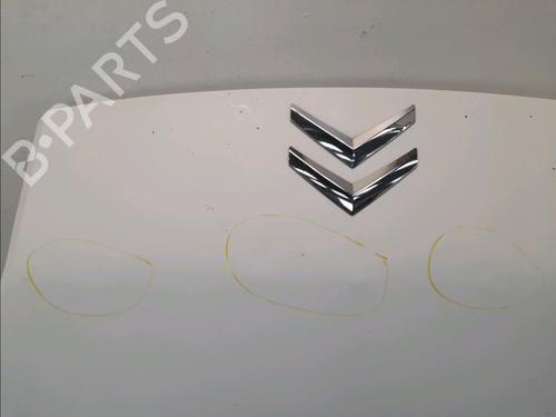 Hood CITROËN NEMO Box Body/MPV (AA_) 1.4 HDi | BP13398973C1