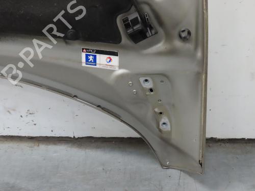Hood PEUGEOT 308 I (4A_, 4C_) 1.6 HDi | BP19528684C1