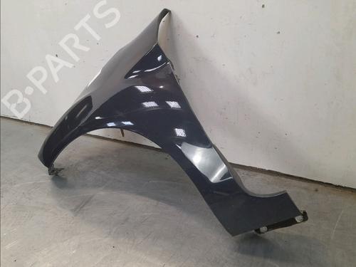 Left front fenders FORD FIESTA VI (CB1, CCN) 1.5 TDCi | BP13242895C41 