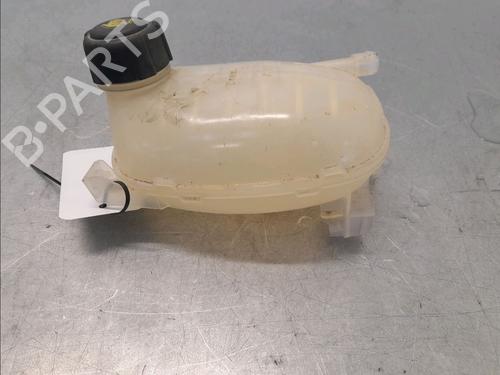 Ekpansionstank RENAULT CLIO V (B7_) 1.5 Blue dCi 85 (B7AG) (86 hp) 30138748