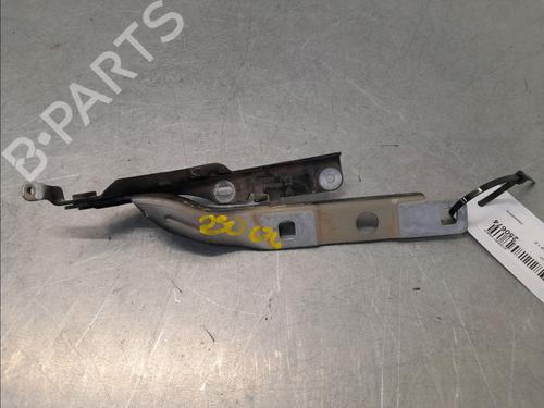 hingedoor-check-strap-citroen-c4-cactus-2014-33770263 main image